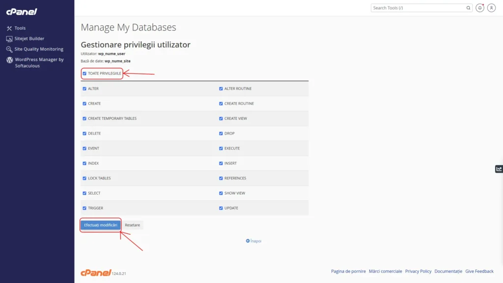 Set Database Privileges