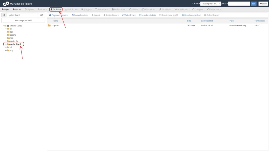 Locate the Website Root